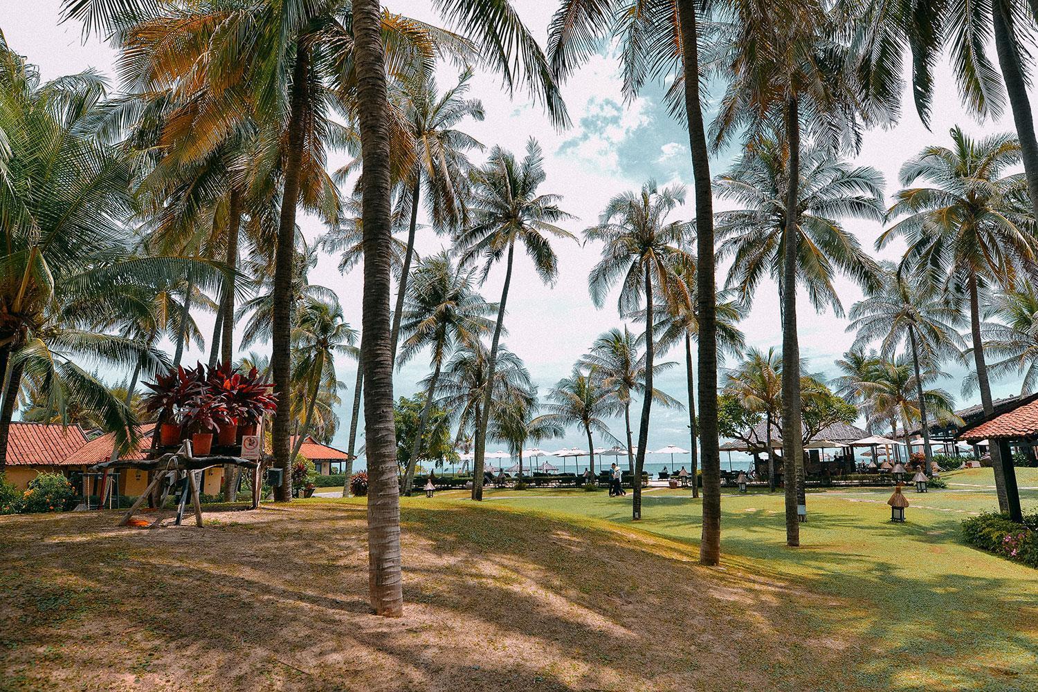 Seahorse Resort & Spa Mũi Né Exteriér fotografie